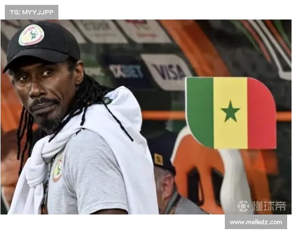 塞内加尔爆冷击败南苏丹成功晋级男篮非洲杯四强 巴迪奥独砍31分助力球队晋级